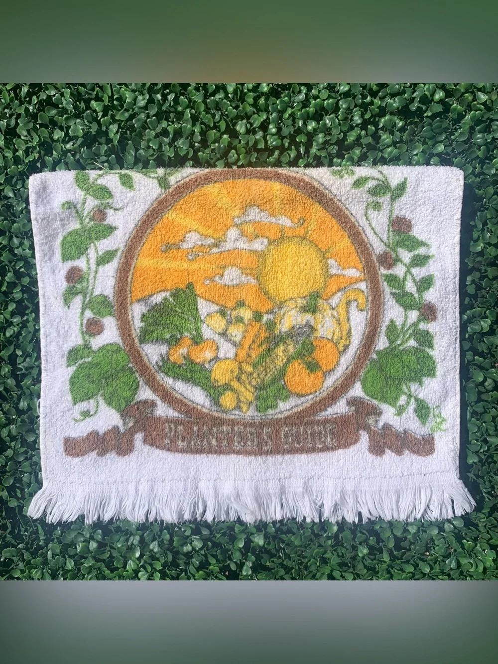Vintage 70s Sayco Planter’s Guide Gardener Vegetable Patch & Sun Dish Towel